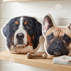 Two custom dog photo pillows featuring a Bernese Mountain Dog and a French Bulldog sitting on a wooden shelf next to a dog bone toy.