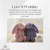 Two bunny plush toys named Valerie and Arya with a "Love It Promise" satisfaction guarantee.