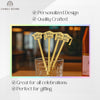 Personalized Graduation Drink Stirrers: Custom Acrylic Party Favors