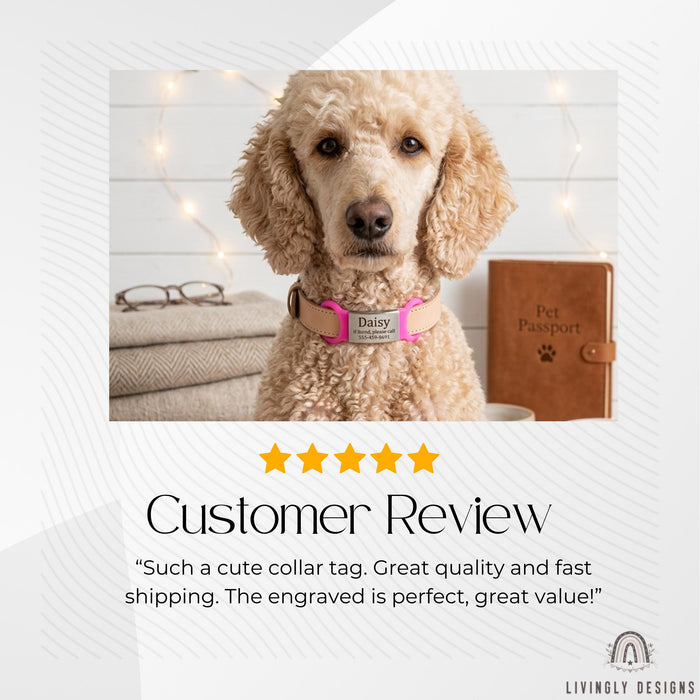 Personalized Dog ID Tag: Custom Engraved Collar Plate for Pets