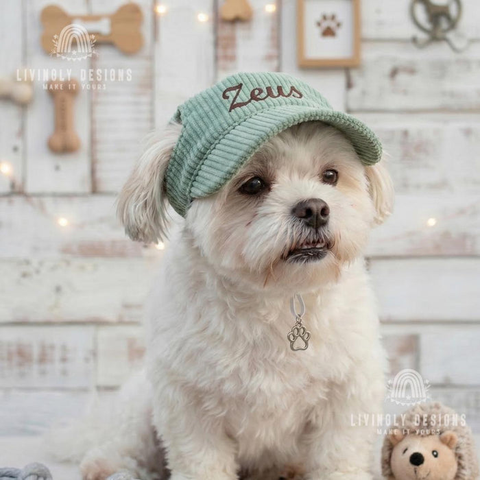 Personalized Pet Hat with Custom Name