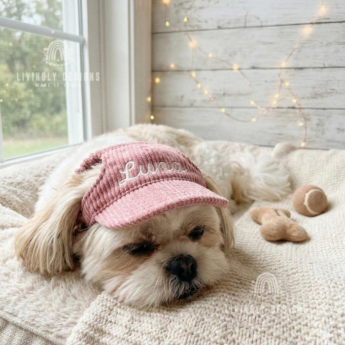 Personalized Pet Hat with Custom Name