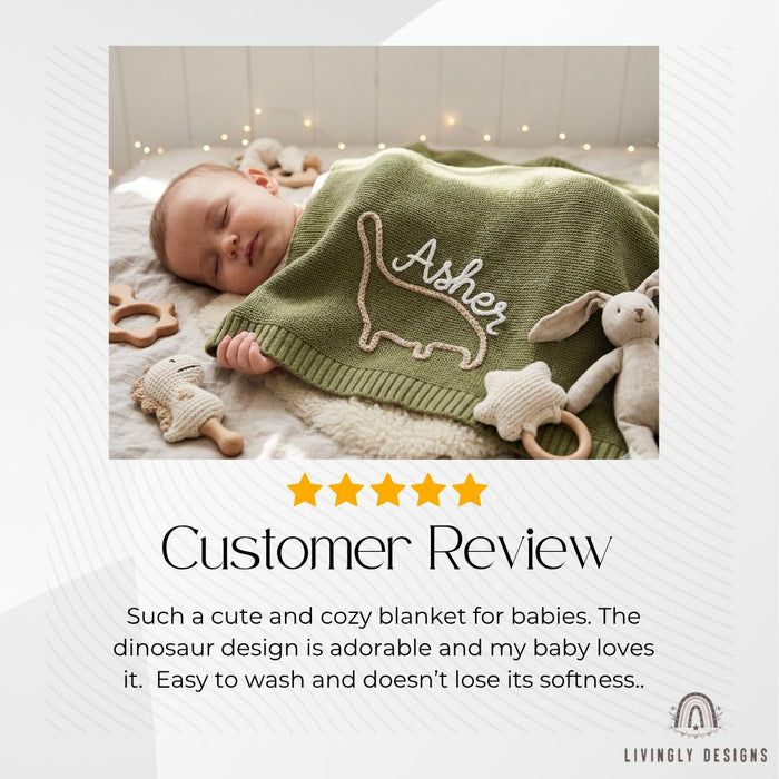 Custom Dinosaur Blanket : Soft Knit Baby Blanket