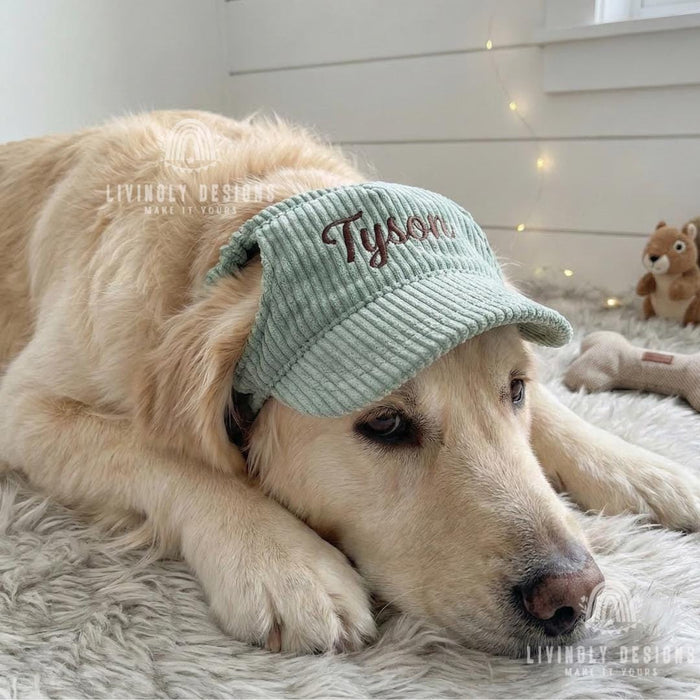 Personalized Pet Hat with Custom Name
