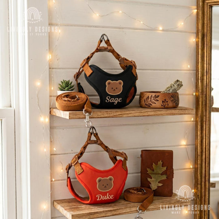 Personalized Dog Walking Set – Bear Harness & Leash with Custom Name