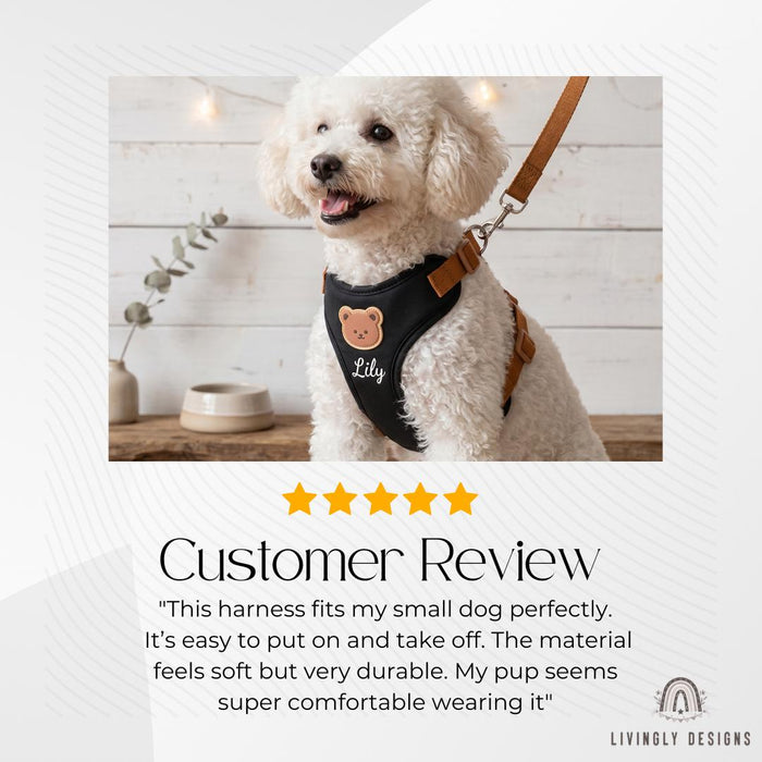 Personalized Dog Walking Set – Bear Harness & Leash with Custom Name