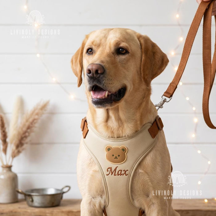 Personalized Dog Walking Set – Bear Harness & Leash with Custom Name