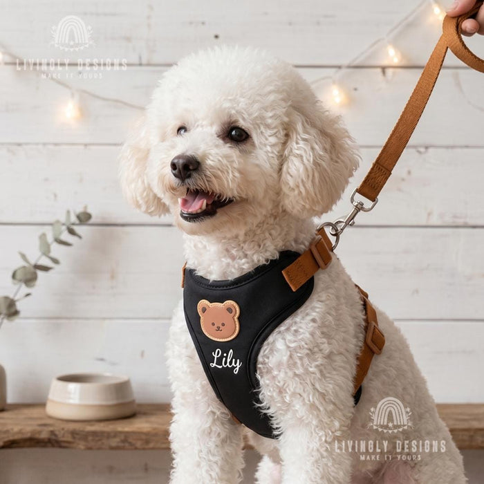 Personalized Dog Walking Set – Bear Harness & Leash with Custom Name
