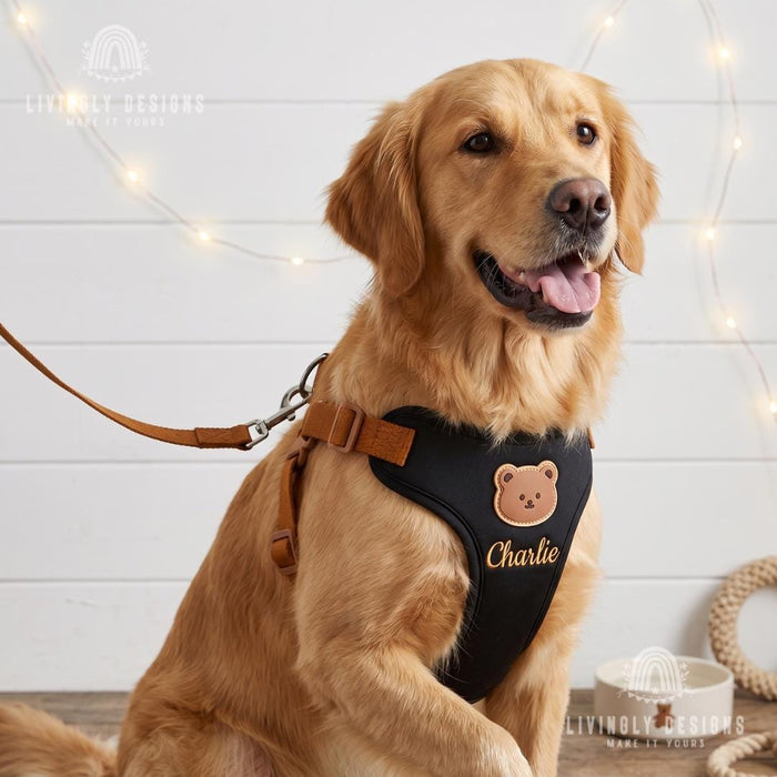 Personalized Dog Walking Set – Bear Harness & Leash with Custom Name
