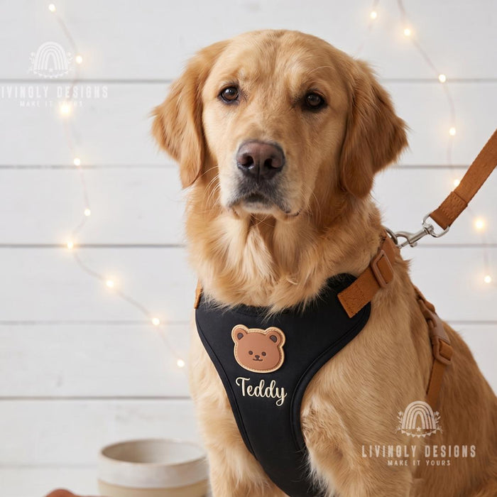 Personalized Dog Walking Set – Bear Harness & Leash with Custom Name