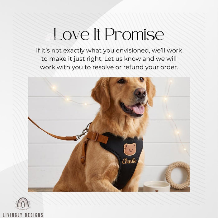 Personalized Dog Walking Set – Bear Harness & Leash with Custom Name