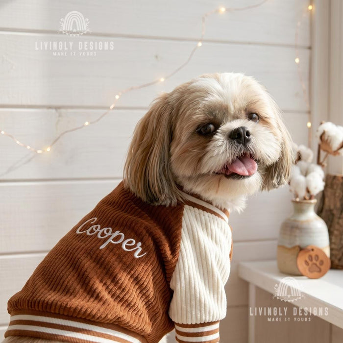 Custom Embroidered Dog Baseball Jacket – Warm Fleece-Lined Autumn/Winter Pet Coat
