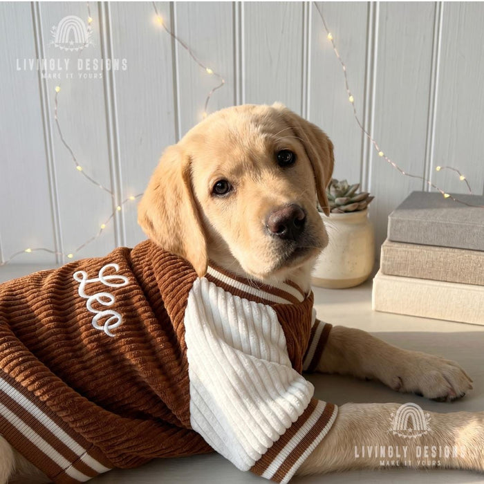 Custom Embroidered Dog Baseball Jacket – Warm Fleece-Lined Autumn/Winter Pet Coat