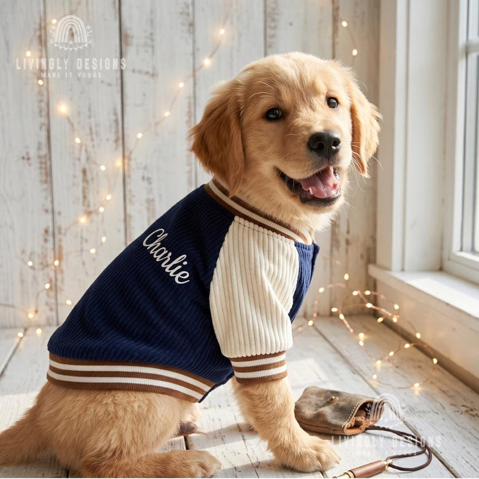 Custom Embroidered Dog Baseball Jacket – Warm Fleece-Lined Autumn/Winter Pet Coat