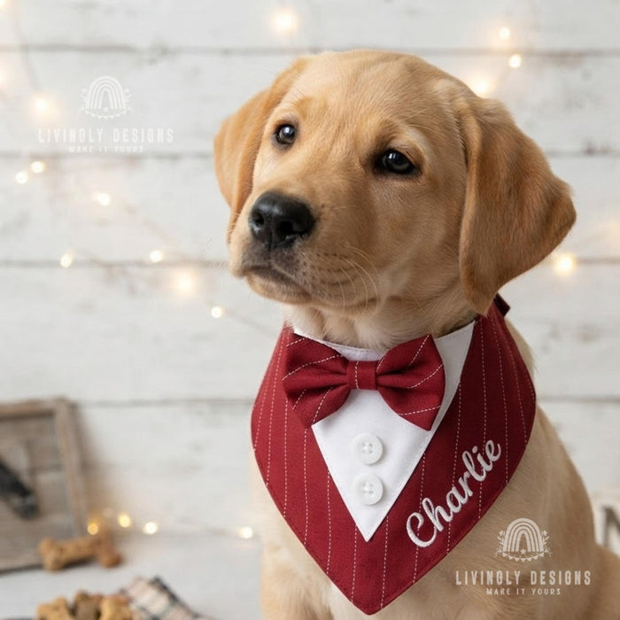 Personalized Tuxedo Dog Bandana: Custom Name Bow Tie Wedding Bib for Pets