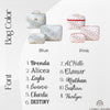 Font chart and color chart