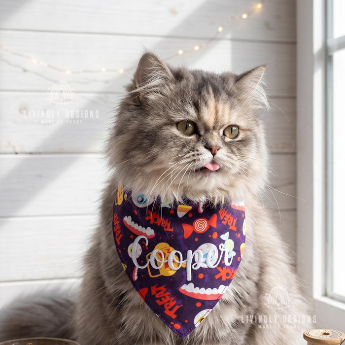 Personalized Halloween Pet Bandana: Custom Name Tie-On Scarf for Dogs & Cats