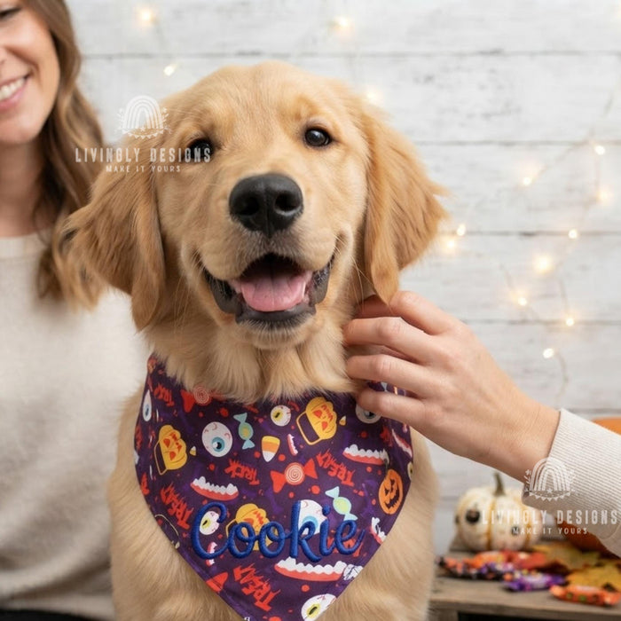 Personalized Halloween Pet Bandana: Custom Name Tie-On Scarf for Dogs & Cats